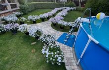 Римский брук кремовый светло-коричневый светло-бежевый 1