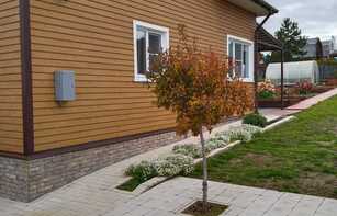 РИМСКИЙ БРУК (ЕВРОПА)