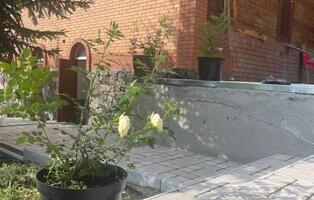 Римский брук светло-бежевый 14