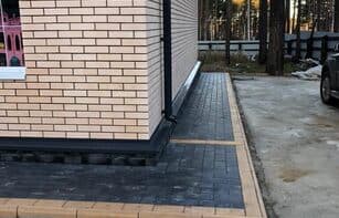 БРУСЧАТКА ГЛАДКАЯ