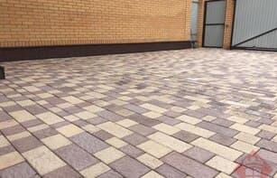 БРУСЧАТКА ЕВРОПЕЙСКАЯ