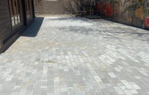 БРУСЧАТКА ГЛАДКАЯ