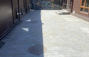 БРУСЧАТКА ГЛАДКАЯ