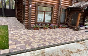 БРУСЧАТКА ЕВРОПЕЙСКАЯ