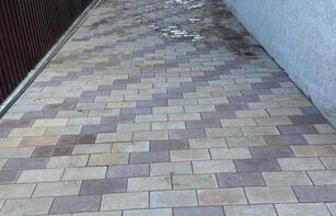 БРУСЧАТКА ЕВРОПЕЙСКАЯ