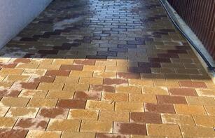 БРУСЧАТКА ЕВРОПЕЙСКАЯ