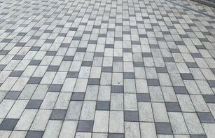 БРУСЧАТКА ЕВРОПЕЙСКАЯ