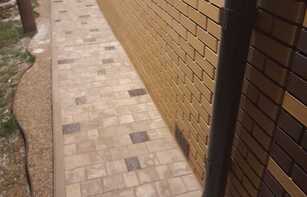 БРУСЧАТКА ЕВРОПЕЙСКАЯ