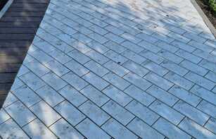 БРУСЧАТКА ГЛАДКАЯ